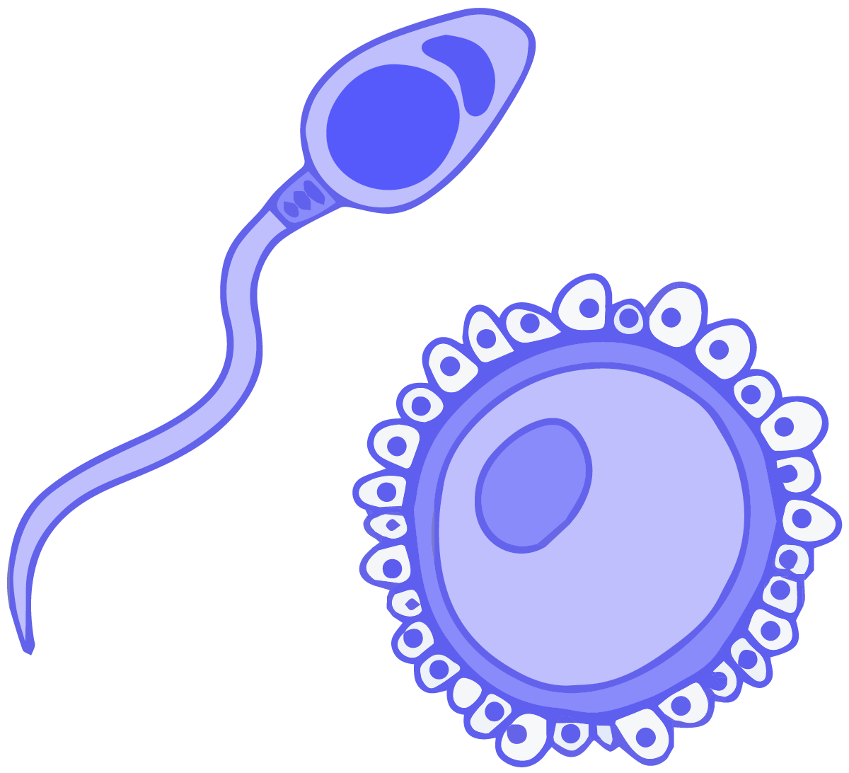 Sperm Cartoon Png File (blue, gray)