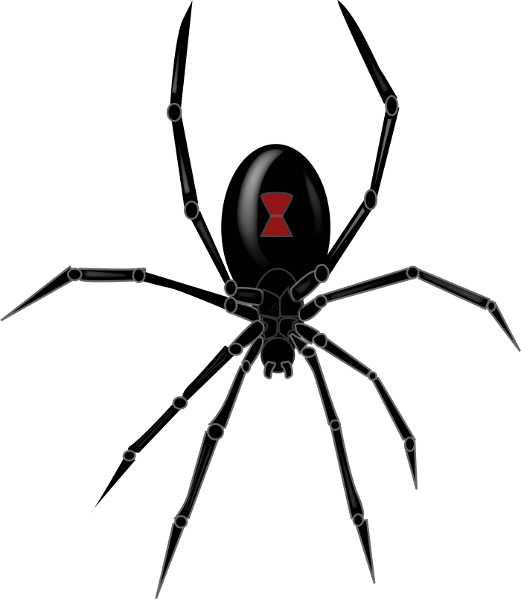 Spider Png File (black)