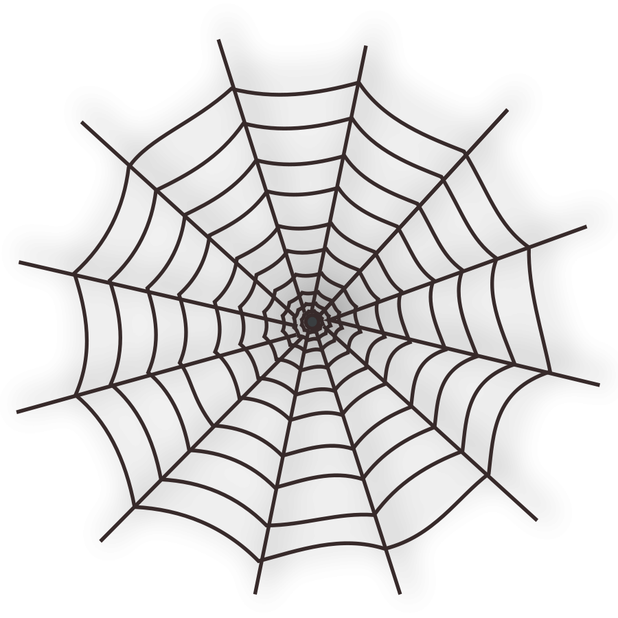 Spider Web (black)