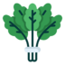 Spinach Vegetables Vegetable Food Agriculture Icon Free Transparent Png Icon Download (black, gray, lavender, teal, green)