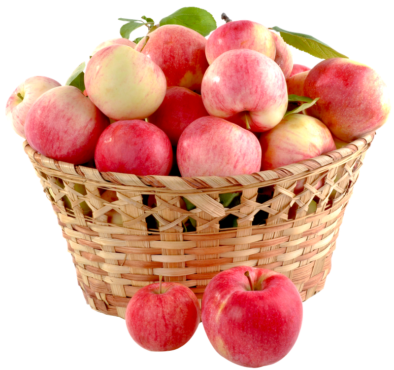 Apple Basket Png Picture (white, maroon, black)