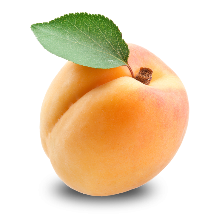 Apricot Free Download Png (beige, black, white, silver)