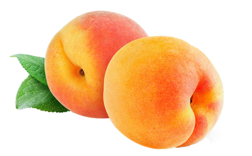 Apricot Fruit Background Png (white, salmon, orange, black)