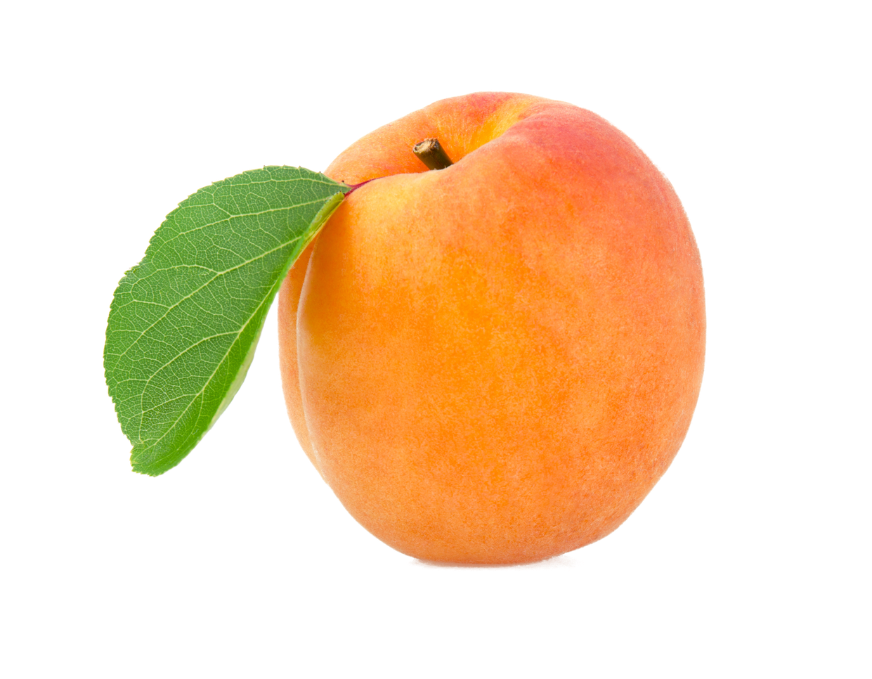 Apricot Fruit Png Background Image (salmon, orange, black)