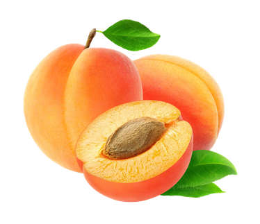 Apricot Fruit Png File (salmon, black, chocolate)