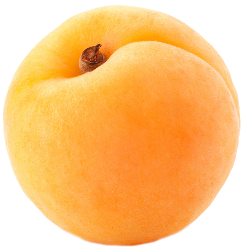 Apricot Fruit Png Free Download (white, salmon, orange, black)