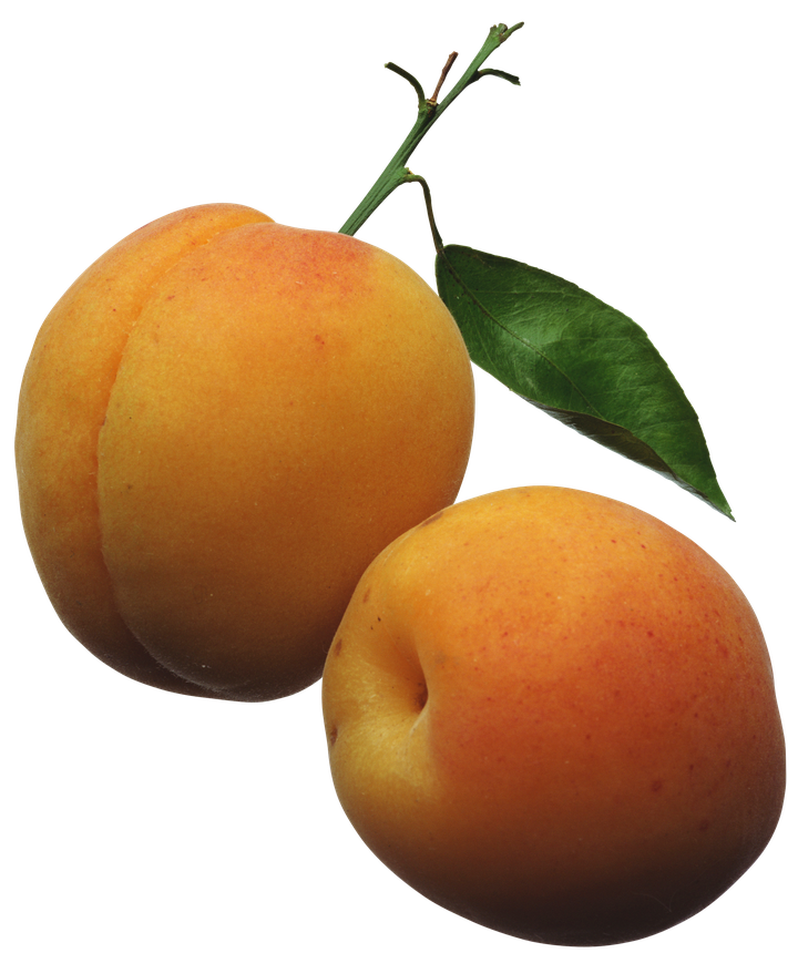 Apricot Fruit Png Photo (maroon, black, olive)