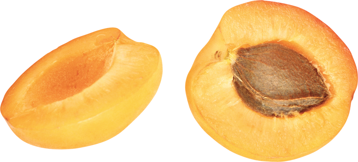 Apricot Fruit Png Pic (salmon, black)