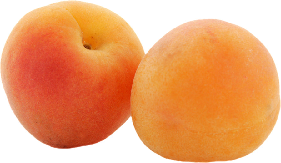 Apricot Fruit Png Picture (black, chocolate)