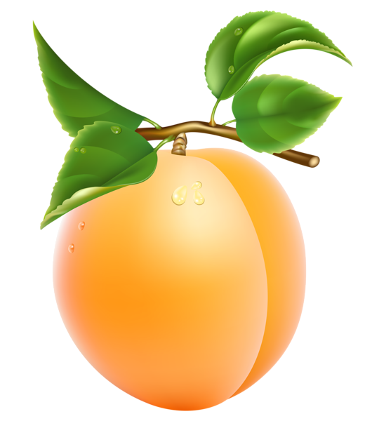 Apricot Fruit Png Transparent Picture (pink, orange, black)