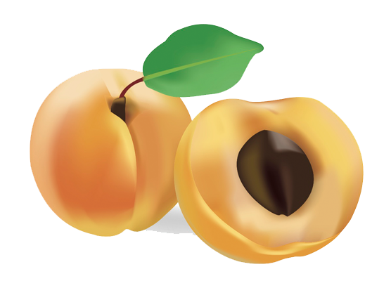 Apricot Png Image (chocolate, teal, white, black, salmon)