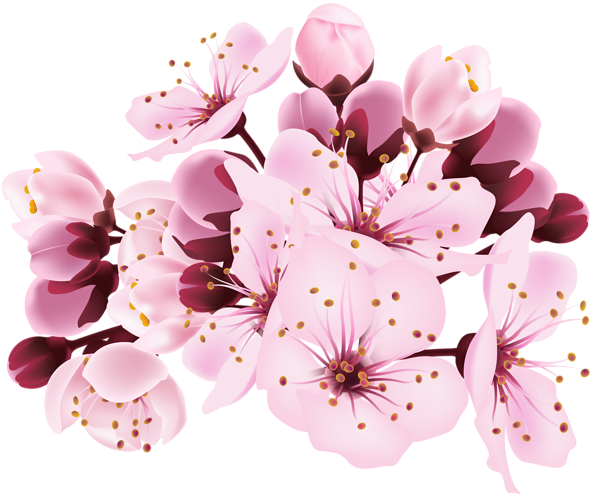 Spring Blossom Flower Transparent Png (black, lavender)