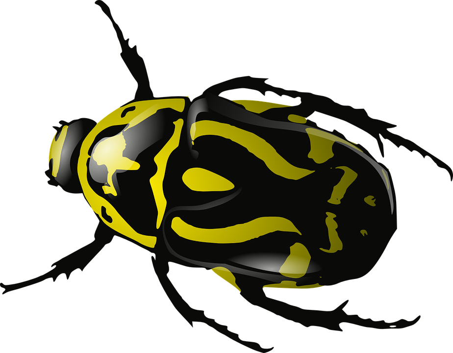 Spring Bugs Png File (black)