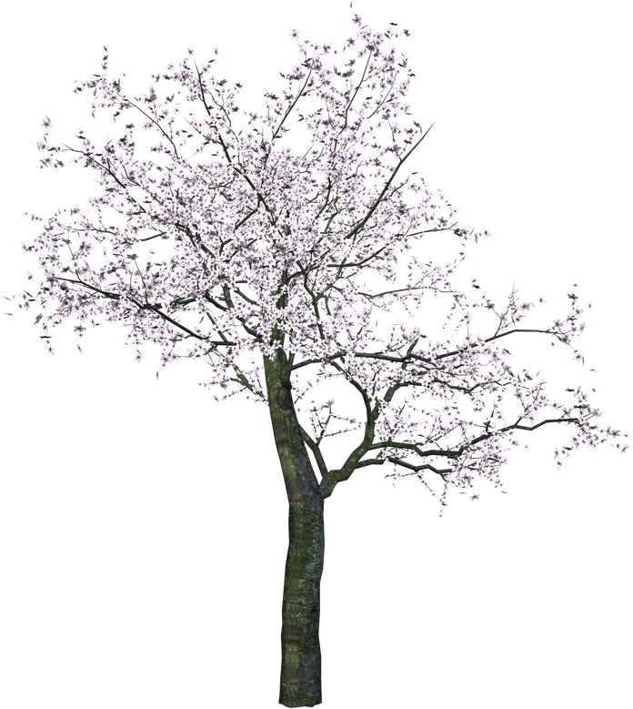 Spring Download Png Image (gray, black)