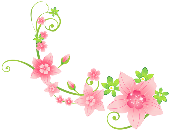 Spring Floral Decoration Png Photos (black, pink)