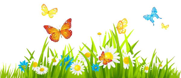 Spring Flowers Png Isolated Image (white)