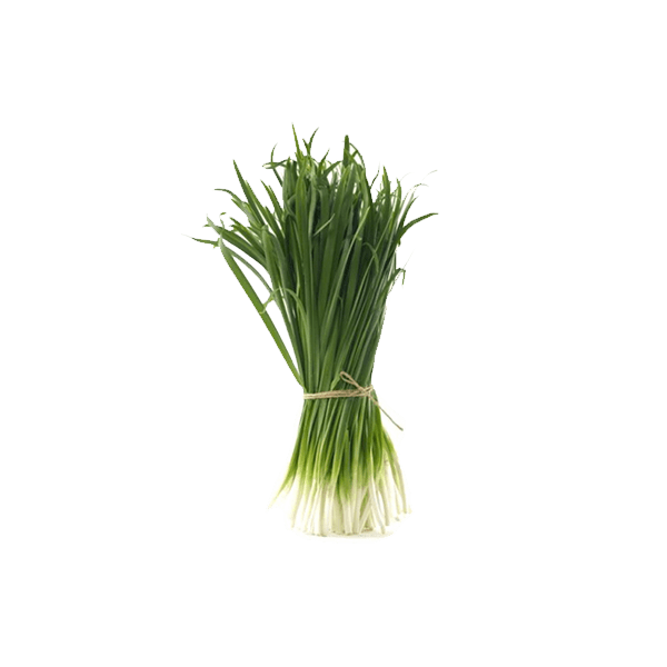 Spring Onions Png Clipart (teal, gray)