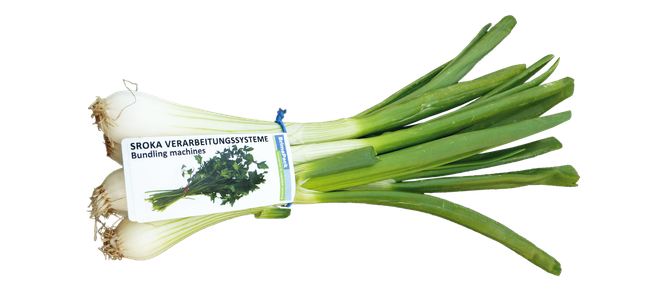 Spring Onions Png File (white, beige, black)