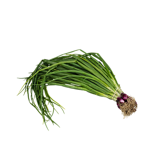 Spring Onions Png Isolated Hd (white, gray)