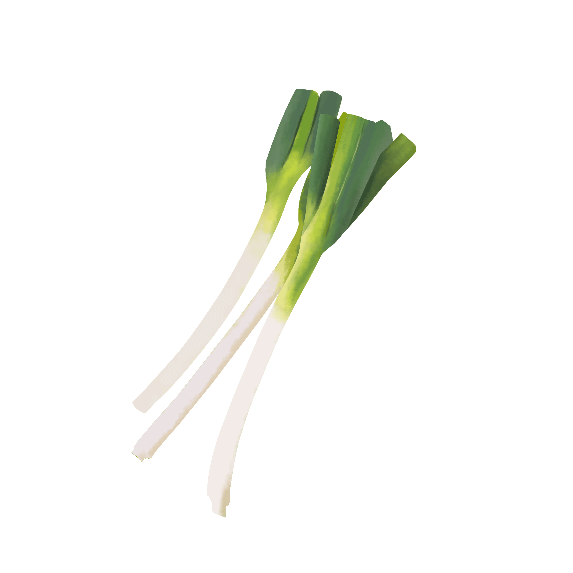 Spring Onions Png Photo (white, beige)