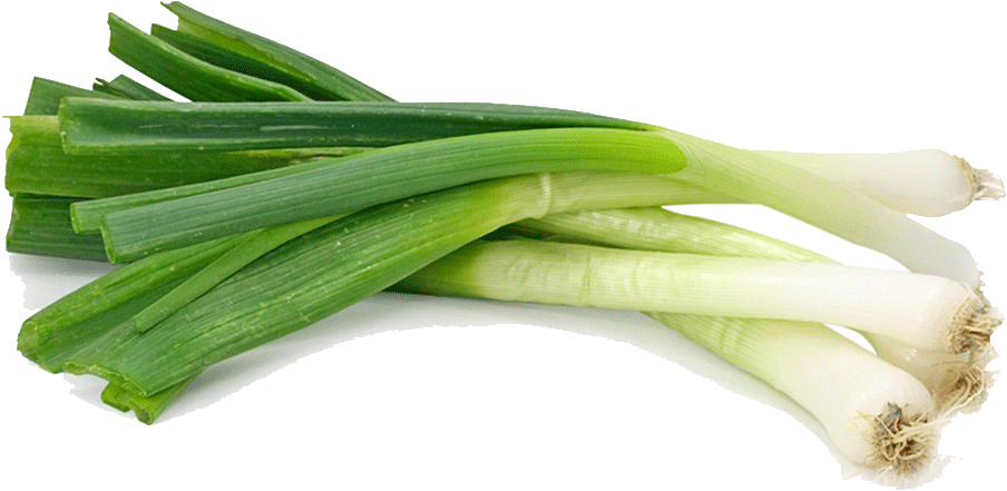 Spring Onions Png Photos (white, black)