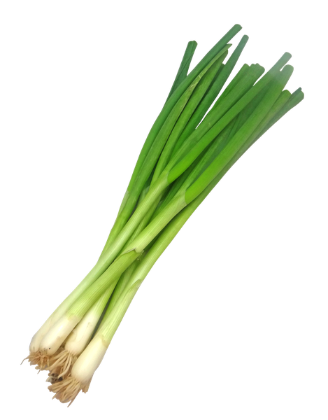 Spring Onions Png Pic (beige, black)