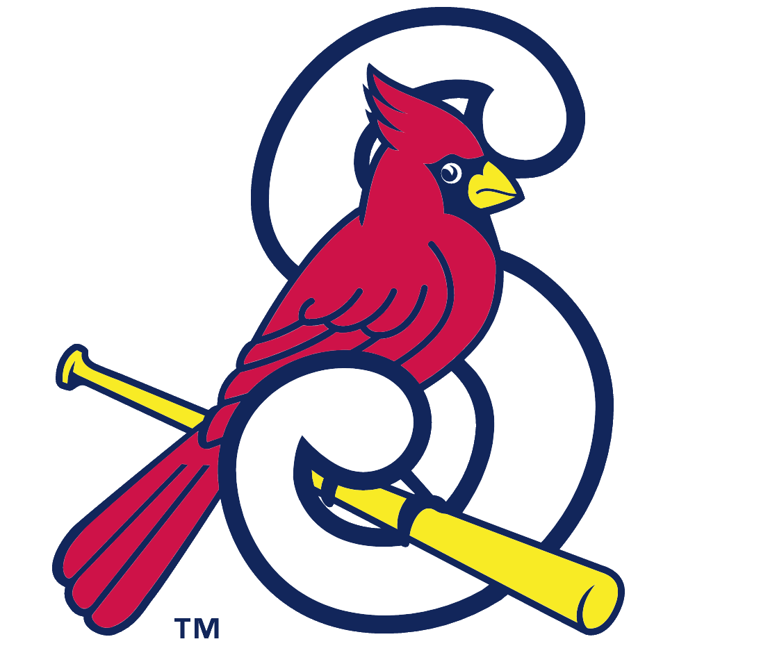 Springfield Cardinals Png (white, navy, yellow, red)