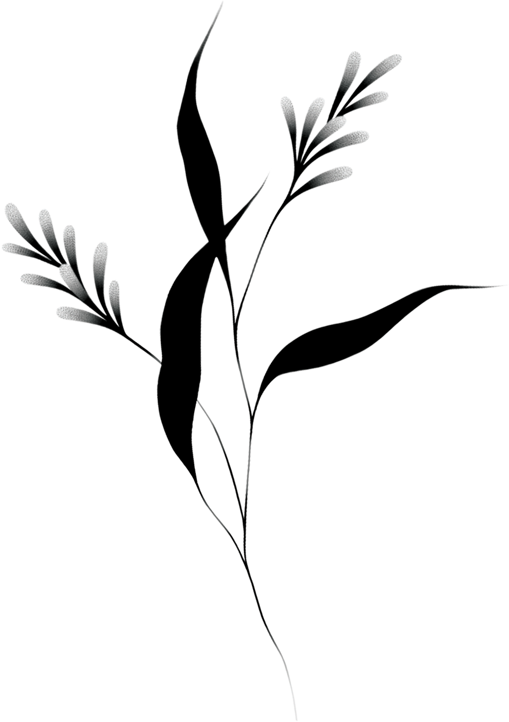 Sprout Png File (black)