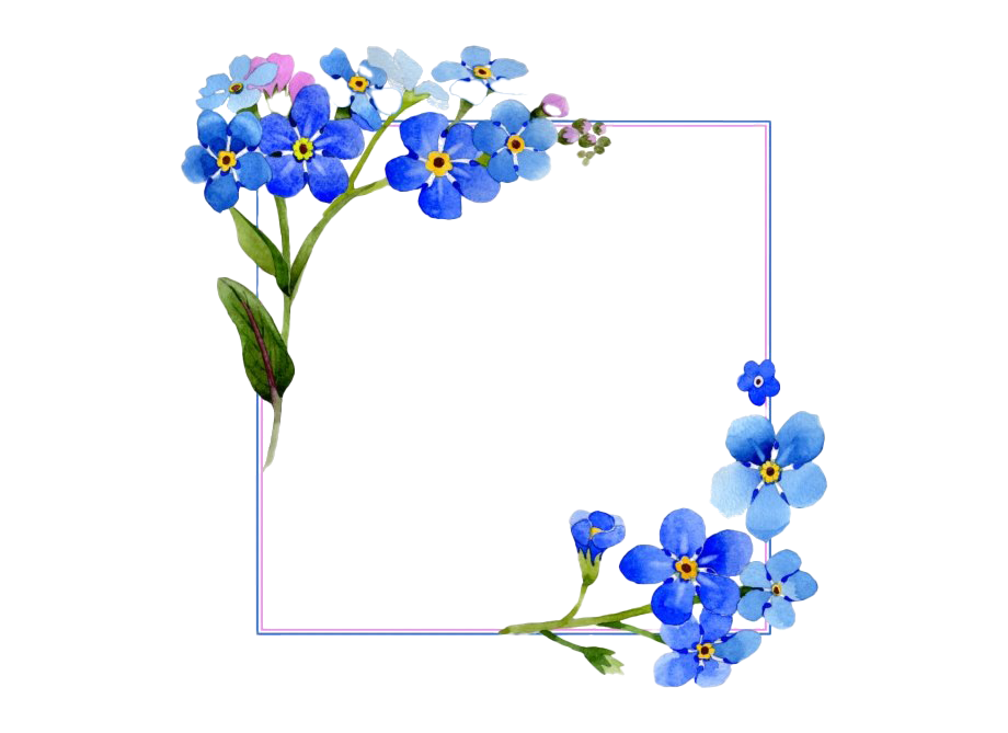 Square Flower Frame Png Image (lavender, white)