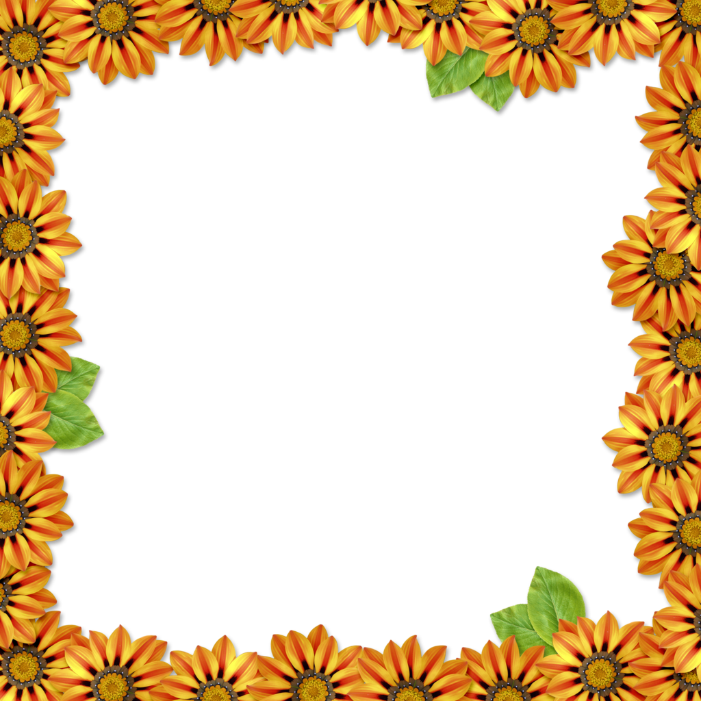 Square Orange Frame Png Pic (chocolate, black, orange)