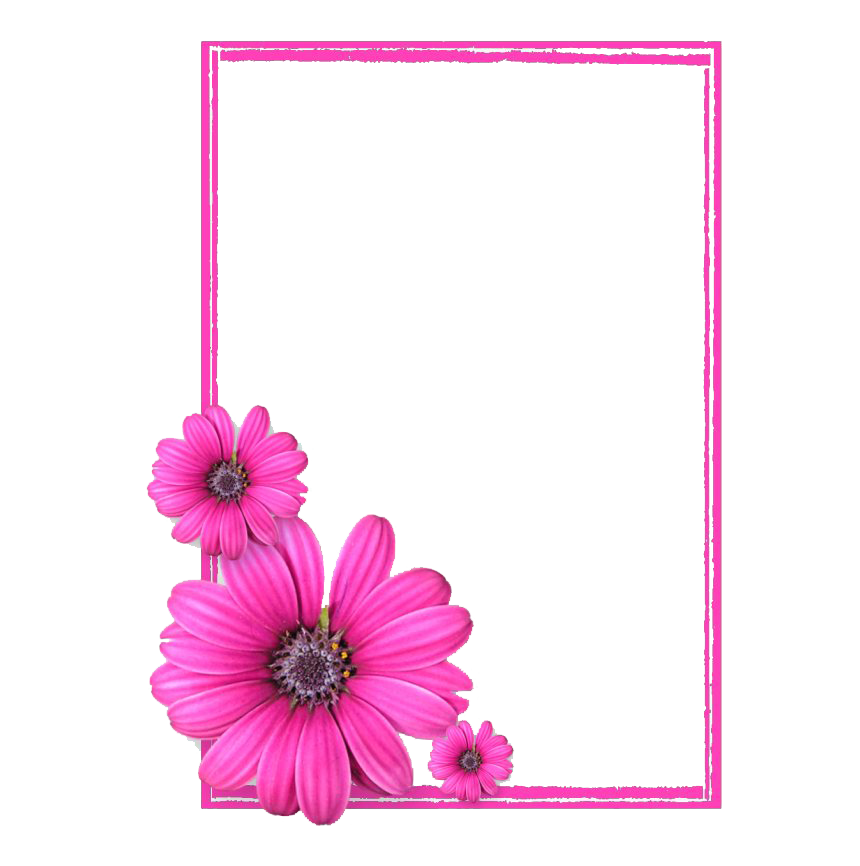 Square Pink Frame Transparent Png (lavender, white, pink)