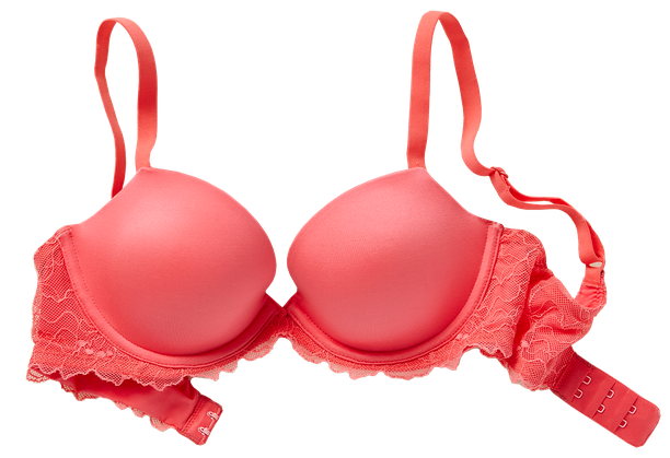 Bra Png Free Download (salmon, black)