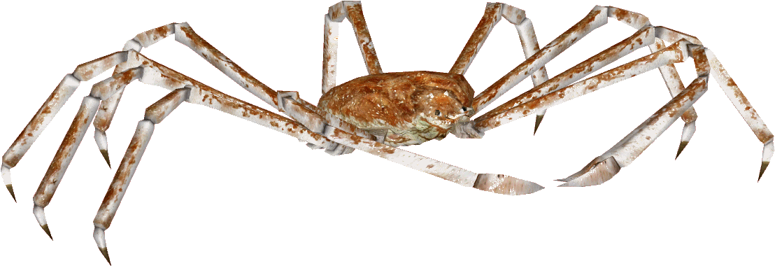 Crab Spiders Png Free Download (black)