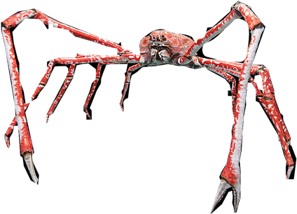 Crab Spiders Png Hd (black)