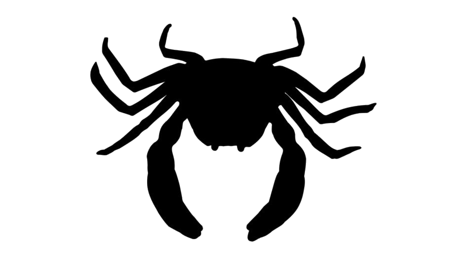 Crab Spiders Png Isolated Image (black, lavender, white, gray)