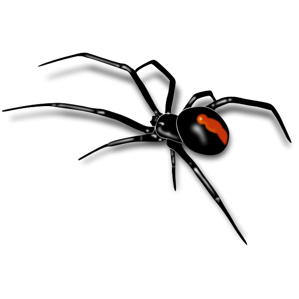 Crab Spiders Png Isolated Pic (black)