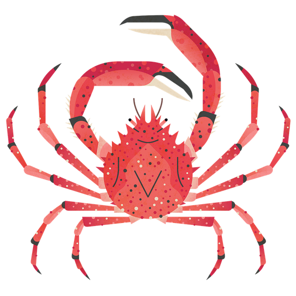 Crab Spiders Transparent Png (chocolate, black)