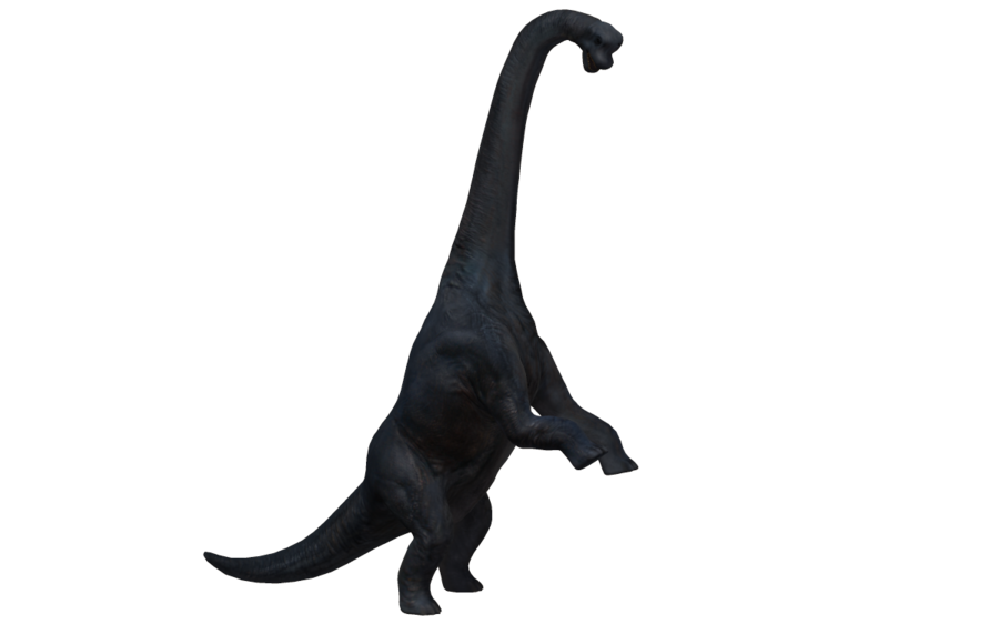 Brachiosaurus Png Hd (black)