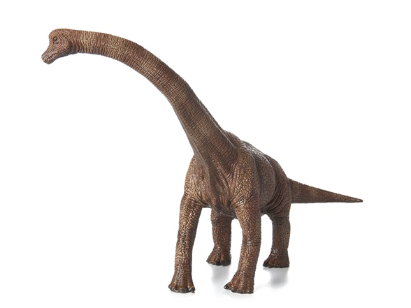 Brachiosaurus Png Photos (white, gray)