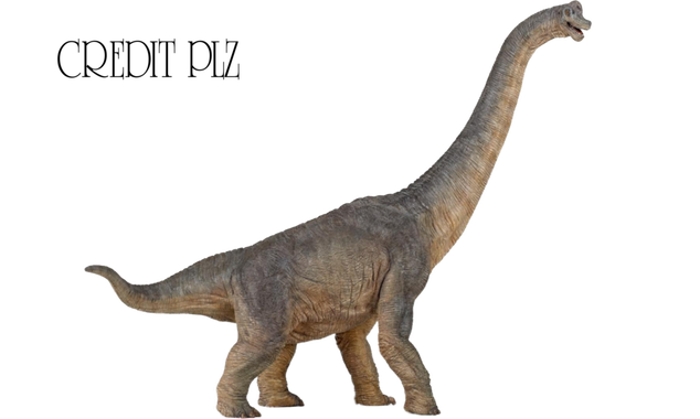 Brachiosaurus Png Transparent Image (black, gray)