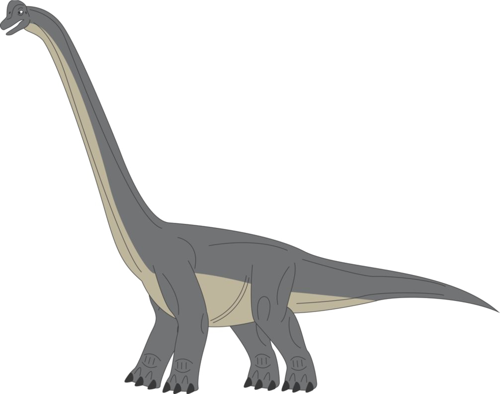 Brachiosaurus Png Transparent Picture (white, gray)