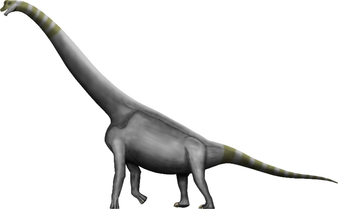 Brachiosaurus Transparent Png (black, gray)