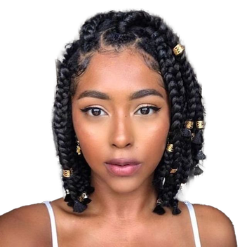 Braids Hairstyle Background Png (black)