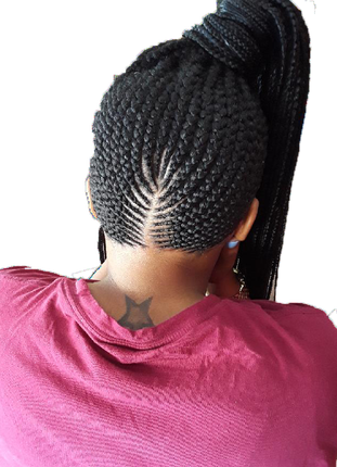 Braids Png File (black)