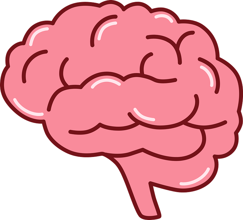 Brain Cartoon Png Hd (salmon, gray)