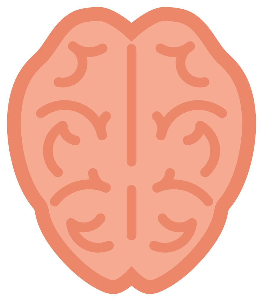 Brain Cartoon Png Picture (white, salmon, black)