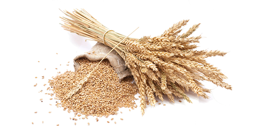 Grain Png Picture (lavender, white)