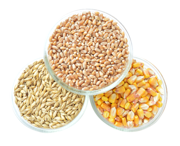 Grain Png Transparent Image (black, white)