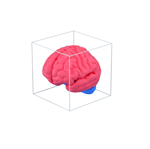 Brain Box Icon Free Png Icon Download (salmon, black)