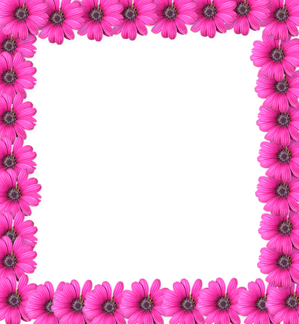 Frame Pink Png (violet, black, white)